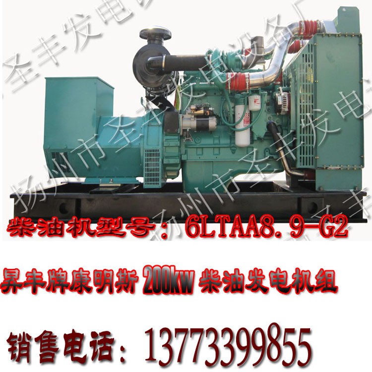 美國康明斯動力配套200KW柴油發(fā)電機(jī)組QSL9G2