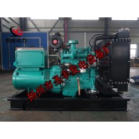 QSB3.9-G33康明斯動力配套30KW柴油發(fā)電機(jī)組
